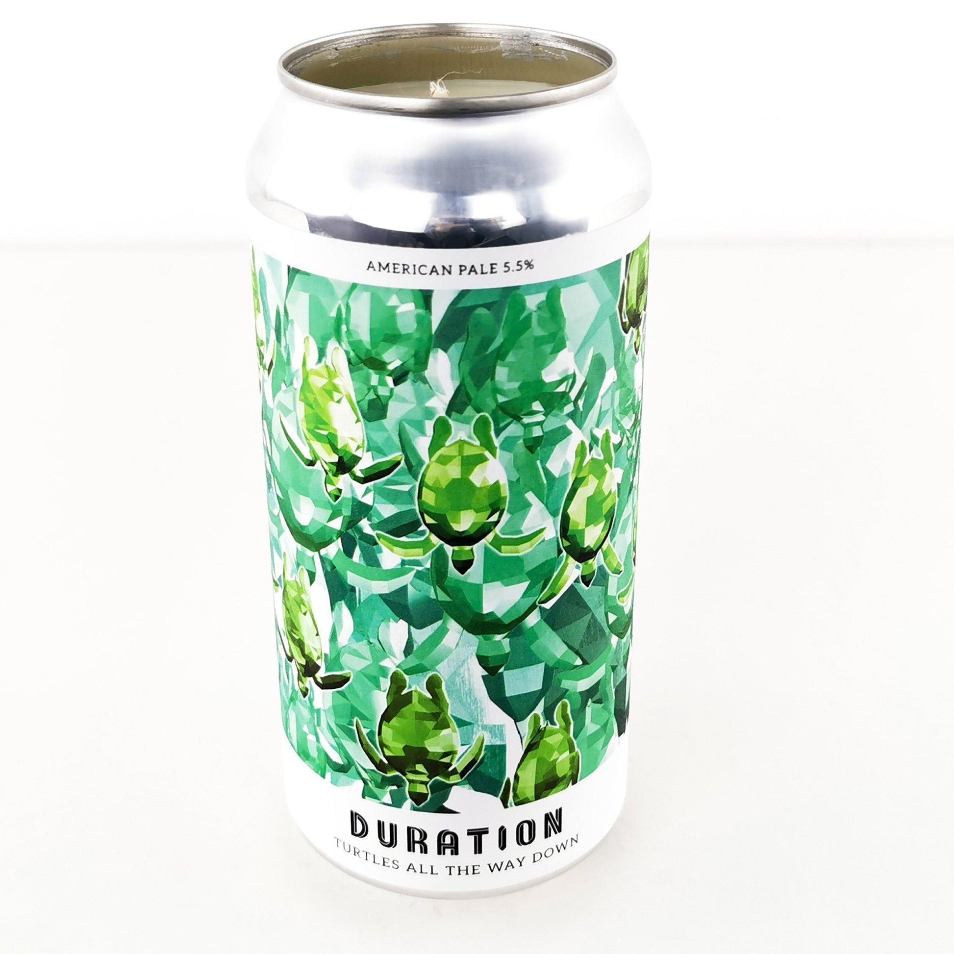 Duration Turtles all the way down Craft Beer Can Candle Beer Can Candles Adhock Homeware
