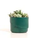 Seachange Ocean Plastic Plant Pot - Medium additional 3