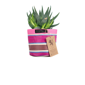 Recycled Woven Stripe Plant Pot Cover (Neyron Pink, Pompadour &amp; Pearl)