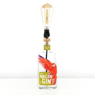 Scarlet Macaw Gin Bottle Table Lamp