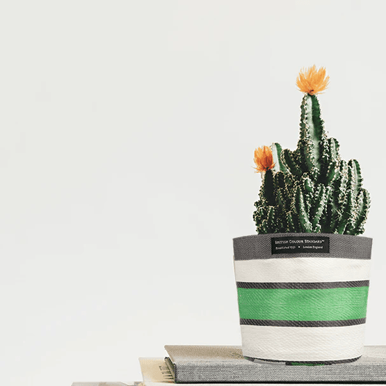 Recycled Woven Stripe Plant Pot Cover (Grass Green, Indigo &amp; Pearl)