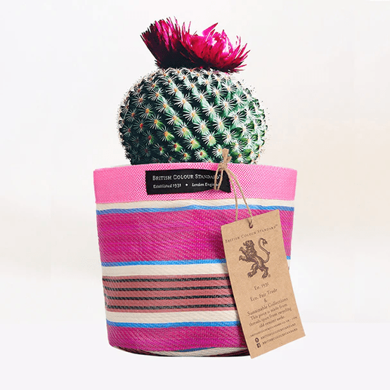 Recycled Woven Stripe Plant Pot Cover (Neyron Pink, Pompadour &amp; Pearl)