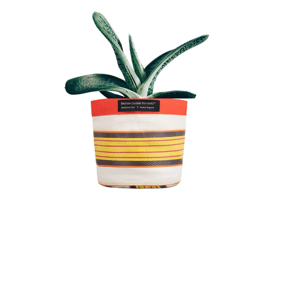 Recycled Woven Stripe Plant Pot Cover (Tuscan Yellow, Pearl &amp; Rose Beige)