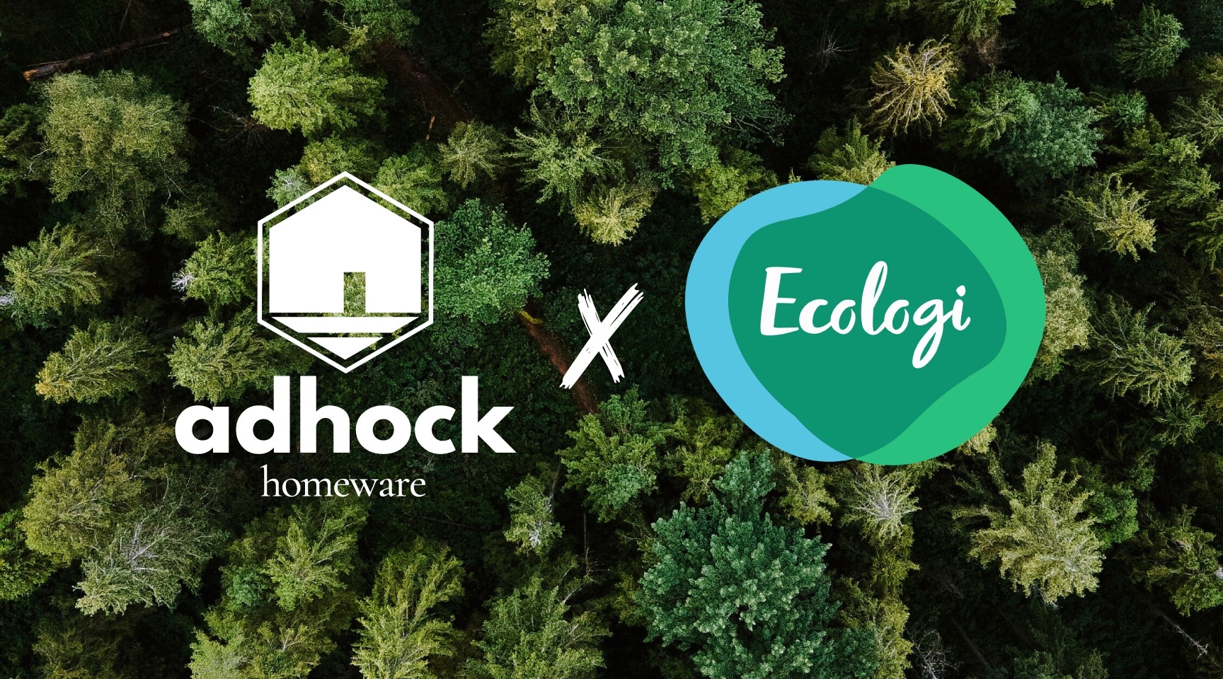 https://www.adhock.co.uk/resources/files/ecologi-1-.jpg